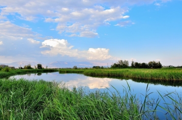 MBR南水北調水源地應用加碼 市場拉升動力強勁